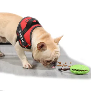 Jouet à mâcher durable en caoutchouc vert pour chien et distributeur de friandises interactif