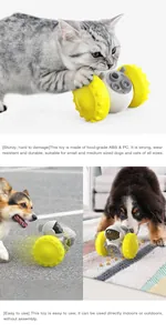 Durable pet balance car slow feeder toy for cats and dogs shown in various play scenes