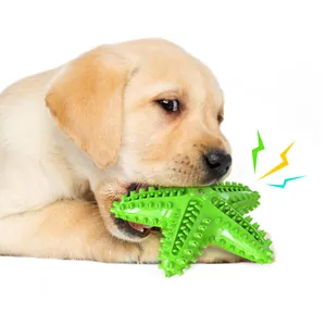 Green starfish squeaky chew toy for puppies and dogs for dental cleaning