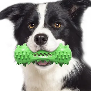 Border Collie mordant dans un jouet pour chien vert en forme d'os avec sifflet.