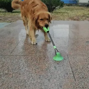 Golden Retriever playing with a green suction cup molar chew toy for dogs outdoors