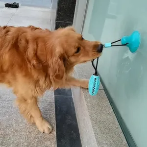Durable suction cup dog toy with molar ball for large dogs like Golden Retrievers