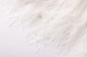 Gros plan de plumes blanches de qualité supérieure sur un détail de veste en tweed chic
