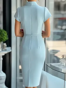 Robe fourreau bleu clair élégante vue de dos avec col montant et coupe ajustée pro