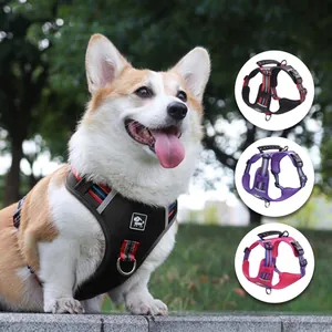Detailed view of a Corgi wearing a black mesh dog harness vest with multiple color options