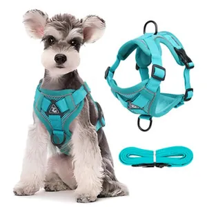 Detail view of a teal mesh dog harness set with reflective strips and matching leash