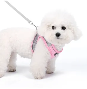 Atmungsaktives rosa Netz-Hundegeschirr mit Reflexstreifen und grauer Leine am Hund