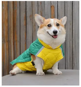 Corgi που φοράει ένα επενδυμένο πράσινο και κίτρινο μπουφάν με αντανακλαστικές ταινίες