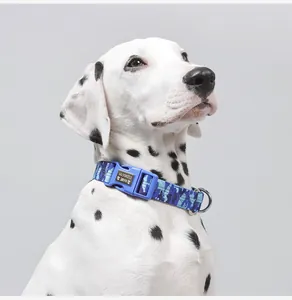 Blue camouflage dog collar featuring a personalized nameplate, modeled by a Dalmatian