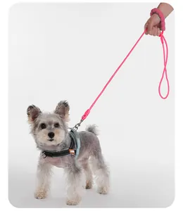 Durable pink dog leash featuring a soft foam handle shown in use on a small dog