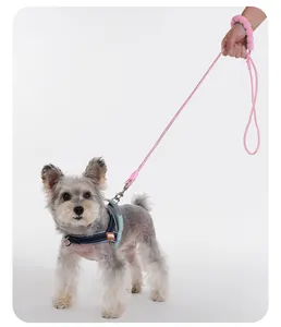 Close-up of a pink dog leash with soft foam handle and harness on a small dog detail