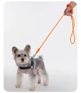 Durable orange dog leash with soft foam handle and matching reflective harness set