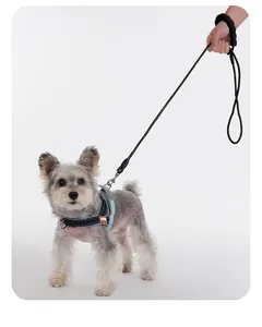 Detail of black dog leash with foam handle and adjustable pet harness