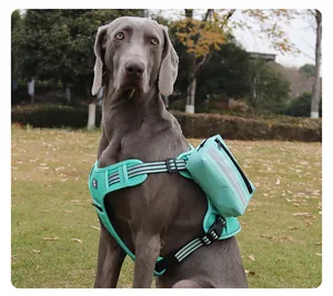Nahaufnahme einer reflektierenden taktischen Haustiertasche am Hundegeschirr