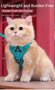 Gedetailleerd overzicht van een ademend turquoise mesh kattenharnas met reflecterende rand