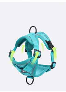 Turquoise reflecterend kattenharnas met ademend mesh en verstelbare bandjes