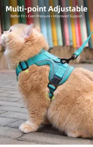 Gedetailleerd beeld van het ademende turquoise mesh kattenharnas met verstelbare gespen