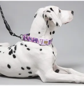 Close-up of a Dalmatian wearing a purple camouflage dog collar and reflective leash set.