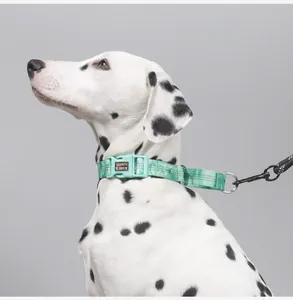 Close-up detail of green camouflage dog collar with customizable metal name tag