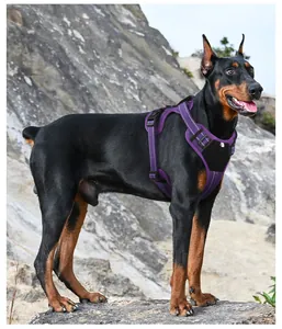 Dettaglio della pettorina tattica riflettente per cani indossata da un Doberman