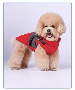 Detail view of a waterproof red and grey winter dog jacket with harness on a poodle