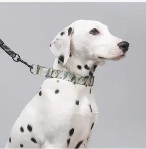 Side view detail of a camouflage pet collar and leash set on a white Dalmatian dog.