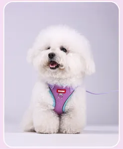 Lilanes atmungsaktives Netz-Hundegeschirr und Leinen-Set an einem weißen Bichon Frisé