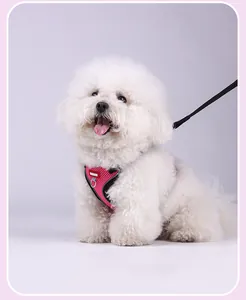 Nahaufnahme eines pinkfarbenen atmungsaktiven Hundegeschirrs mit Leine an einem kleinen weißen Hund