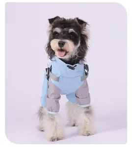 Vista completa de un perro pequeño con una chaqueta cortavientos azul impermeable.