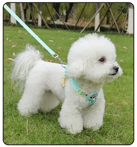 Detailed view of mint green strawberry print pet harness on a small white Bichon Frise