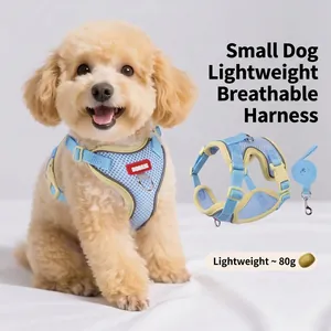 Atmungsaktives Netz Hundegeschirr Und Leine Set Für Kleine Hunde Kontrastfarbe Reflektierendes Weiches Westengeschirr Für Welpen Outdoor Wandern Haustierbedarf
