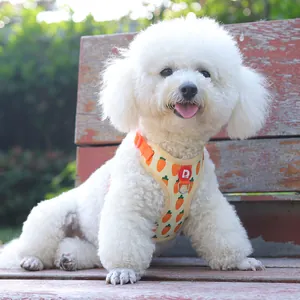 Vest-style dog harness with carrot pattern for small dogs like Bichon Frise.