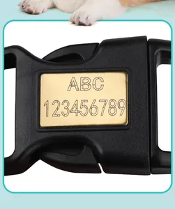 Primer plano de hebilla negra para collar de mascota con placa dorada grabada