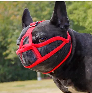 Gedetailleerde macro-opname van de ademende rode mesh muilkorf op de snuit van een Franse bulldog