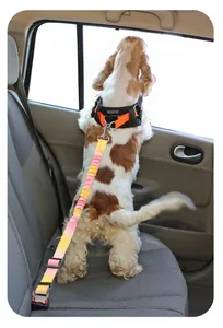 Ceinture de sécurité élastique colorée pour chien dans la voiture pour vos animaux