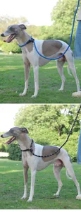Detail view of a durable nylon P-leash for large dogs in a natural outdoor park setting