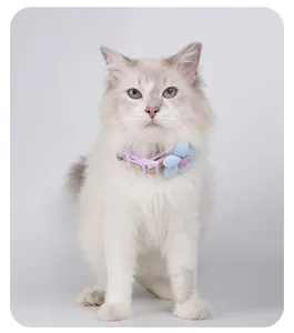 Vue détaillée d'un chat à poils longs portant un collier violet avec une fleur bleue