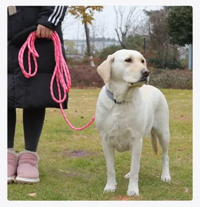 Extra lange neonrosa Hunde-Schleppleine für das professionelle Training im Freien