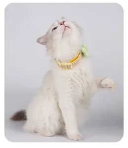 Vue détaillée d'un chat portant un collier à rayures jaunes et une fleur verte déco