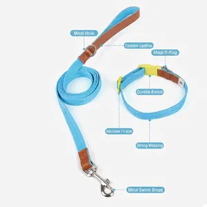 Ensemble laisse et collier bleu clair pour chien avec détails en cuir et métal robuste.
