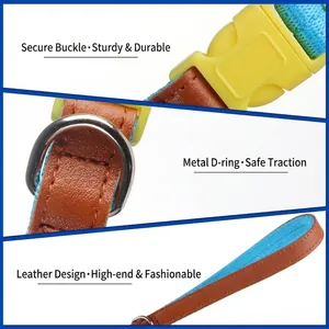 Ensemble collier et laisse pour chien en cuir durable avec boucle sécurisée
