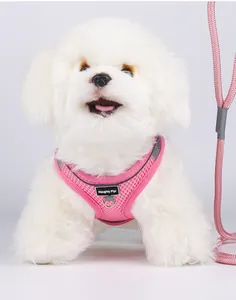 Dettaglio dell'imbracatura rosa traspirante per cani con striscia riflettente e guinzaglio