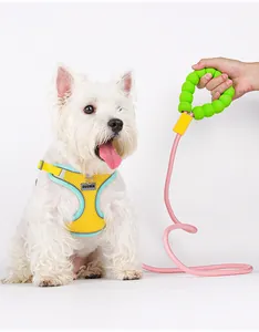 Close-up of pink rope dog leash featuring a comfortable lime green bubble foam handle