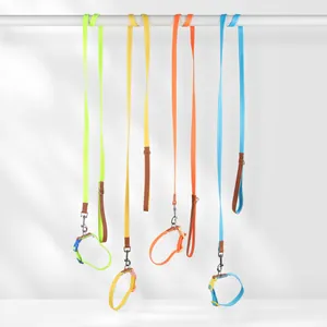 Ensemble collier et laisse pour chien de couleur néon pour petits et moyens chiens