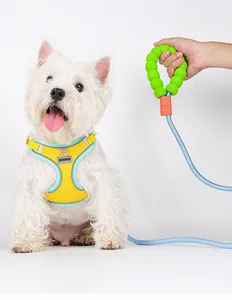 Dopamine-colored dog harness and bubble foam leash set for comfortable outdoor walking