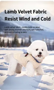 Détail en gros plan d'un gilet en polaire sherpa porté par un petit chien dans la neige