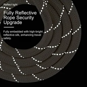 High-visibility reflective nylon braided P-leash dog collar and lead for night safety