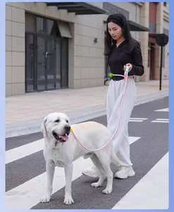 Buitenscene van een vrouw die een witte hond uitlaat met een roze riem