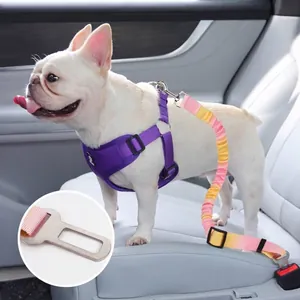 Ceinture de sécurité robuste pour chien avec laisse arc-en-ciel et harnais violet