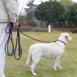 Lange Hunde-Schleppleine für das Training im Freien mit reflektierendem Seil für Hunde